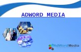 It company in chandigarh adword media