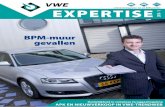 VWE Expertise 2010-01