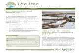 Spring 2012 Discovery Farms Newsletter