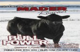 2013 Mader Ranches BULL POWER Sale