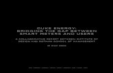 Duke Energy: Bridging the Gap Between Smart Meters and Users
