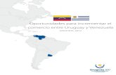 Oportunidades comerciales Uruguay - Venezuela