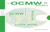 OCMW Visies 2013.1