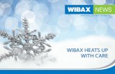 WIBAX News no 3 2012