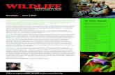 Wildlife Worldwide Newsletter issue 1, 2013