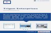 Trigon enterprises