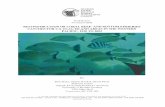 Reconstruction of Coral Reef and Bottomfish Fisheries in the US Pacific, 1950 to 2002
