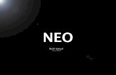 Neo Build manual