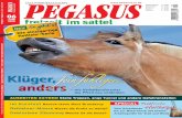 Pegasus Vorschau Heft 06/10