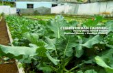 Cuban Urban Farming
