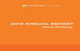 NEPR Annual Report 2013