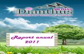 Raport Anul 2011 - Asociatia Dianthus Medias