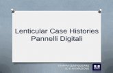 Lenticular Case Histories_Grande formato