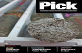 The Pick Issue 13