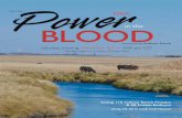 Power in the Blood 2011
