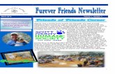 Furever Friends Newsletter 3