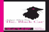 The Black Cat: Pop-Pop Sugar Style - First Edition