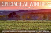 Spectacular Wineries of Ontario—SNIPPET