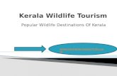 Kerala wildlife tourism
