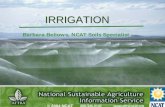 National Sustainable Agriculture Information Service - IRRIGATION
