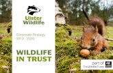 Wildlife in Trust 2013 - 2020