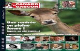 Le Canard Gascon n°34