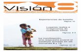 Edicion 32 Vision 8