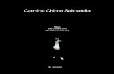 Carmine Chicco Sabbatella - contemporary art - italy,