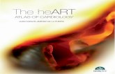 The heART. Atlas of Cardiology