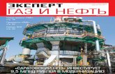 Эксперт. Газ и Нефть №5 2011 / Expert. Gas &  Oil #5/2011