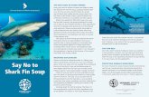 Say no to shark fin soup