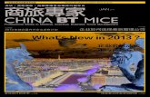 China BT MICE Jan 2013