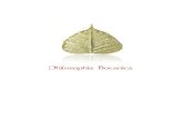 Philosophia Botanica Skin Care Catalogue - South Africa July '14
