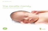 GE Healthcare Giraffe Family Brochure