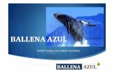 Ballena azul 1 the real deal gracias