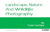 Landscape, nature and wildlife photography by Frank Tschöpe