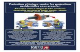 GAINES ANTI PROJECTIONS POMPES AB