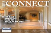 Blue Connect, Issue 3, July 2014