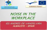 Noise in the workplace Spain (Italian meeting 2013)