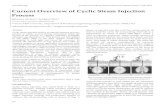 Current Overview of Cyclic Steam Injection Process