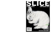 Slice issue15