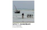 Spicy Zanzibar