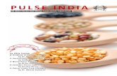 IPGA-PULSE INDIA