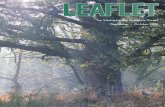 Fontenelle Forest's September/October Leaflet