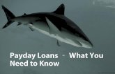Payday Loans: What You Need To Know