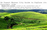 Munnar travel guide