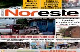 Periódico Noreste de Guanajuato #679