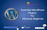 Essential WordPress Plugins for Beginner