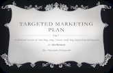 theSkimm Targeted Marketing Plan