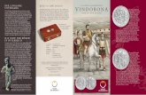 Römerzeit in Österreich: die 20 Euro Silbermünze Vindobona